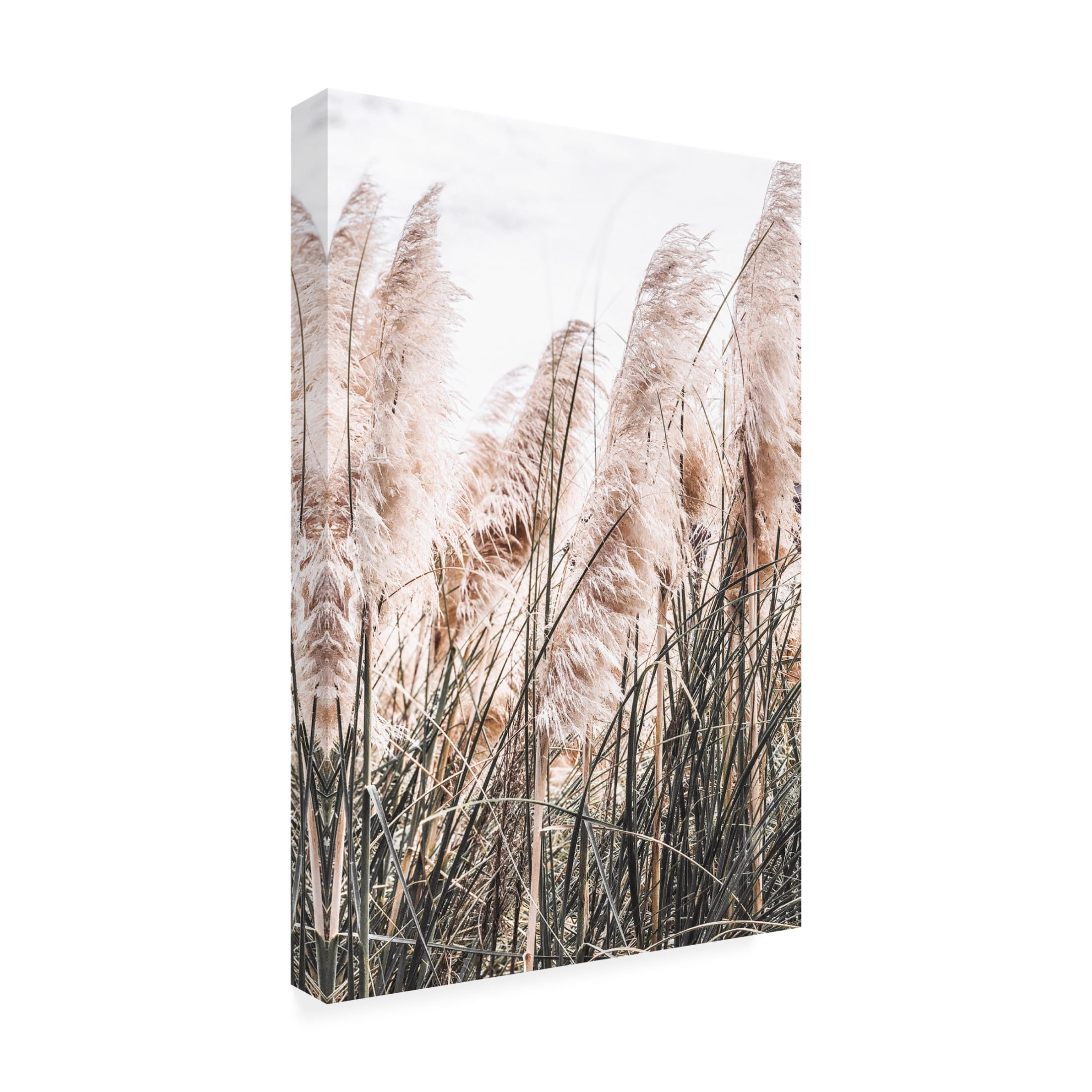 Canvas Wall Art - Incado 'Pampas' Wall Art for Living Room, Bedroom, or Office Décor by Trademark Fine Art - 22 x 32 Inches