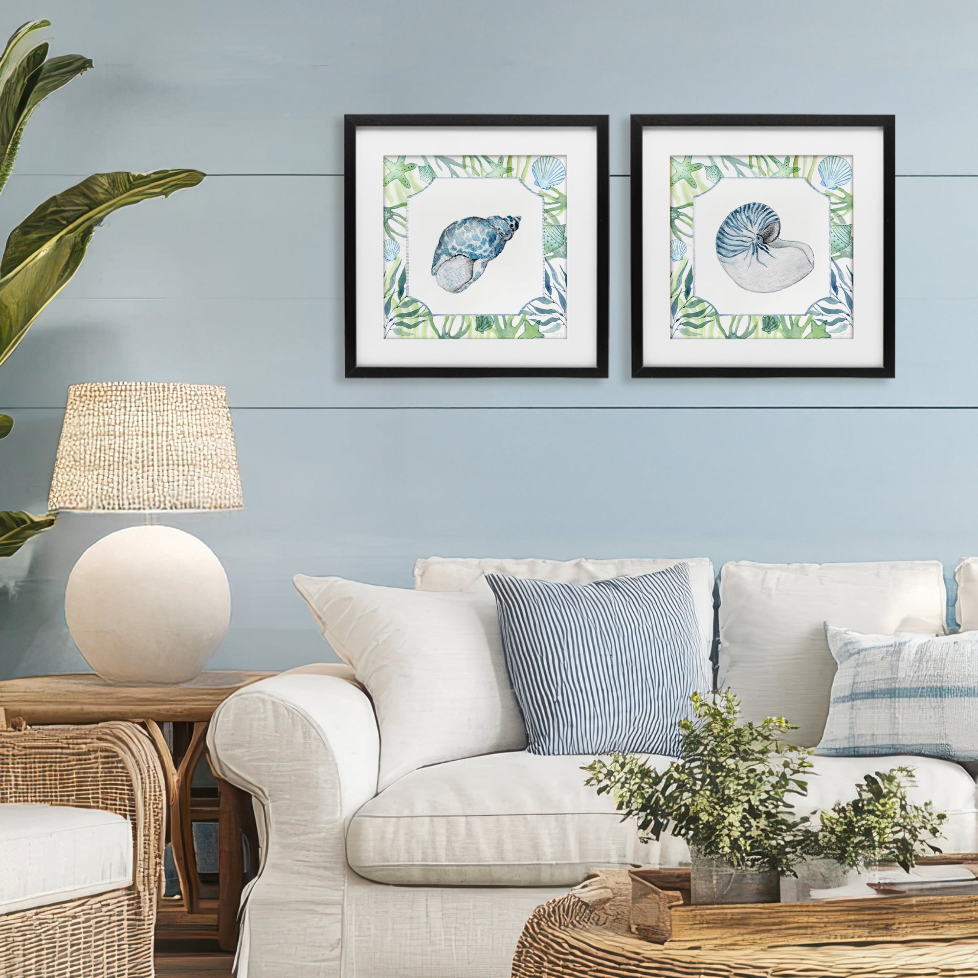 Stupell Industries Seaweed Bordered Seashells 2 Piece Black Framed Print Under Glass Set, design by Janet Tava