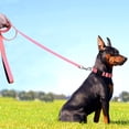 thumbnail image 4 of LAICAIW 4FT Reflective Dog Leash with Soft Padded Handle for Training,Walking Lead for Medium & Small Dogs,3/4 Inch Wide,Neon Pink, 4 of 6
