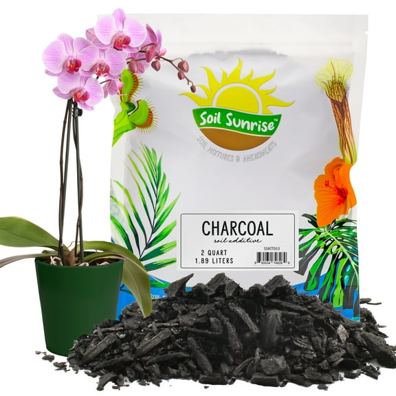 Horticultural Charcoal for Indoor Plants (2 Quarts), Hardwood Soil Additive for Orchids, Terrariums, and Gardening