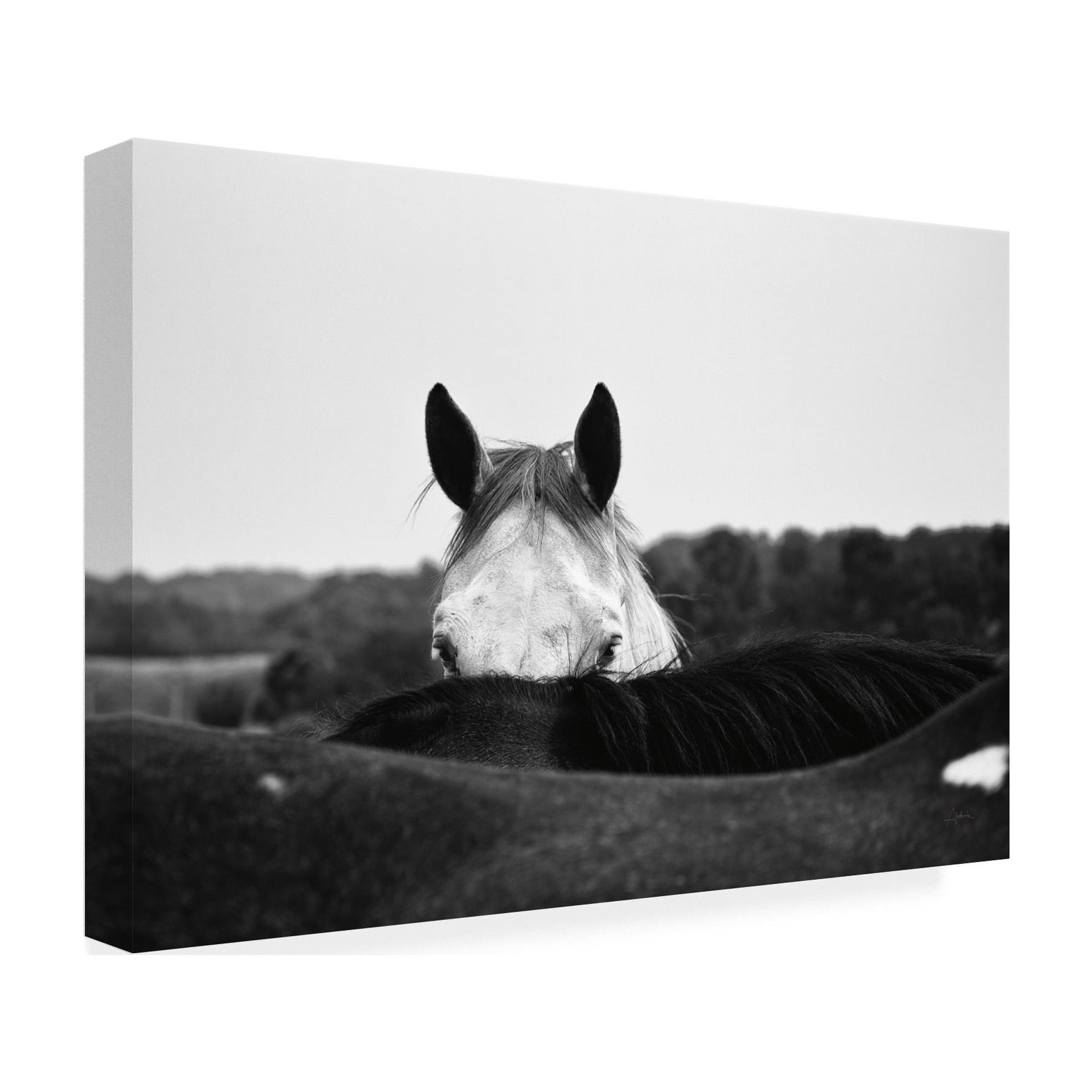 Trademark Fine Art 'Flirt White Horse' Canvas Art by Aledanda