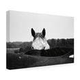 thumbnail image 4 of Trademark Fine Art 'Flirt White Horse' Canvas Art by Aledanda, 4 of 4
