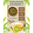 thumbnail image 3 of Damiana Herbal Tea – 100% Turnera diffusa – 25 Tea Bags – Natural Caffeine-Free Infusion – Traditional Herbal Beverage – Té de Damiana de California – Hecho en México, 3 of 8