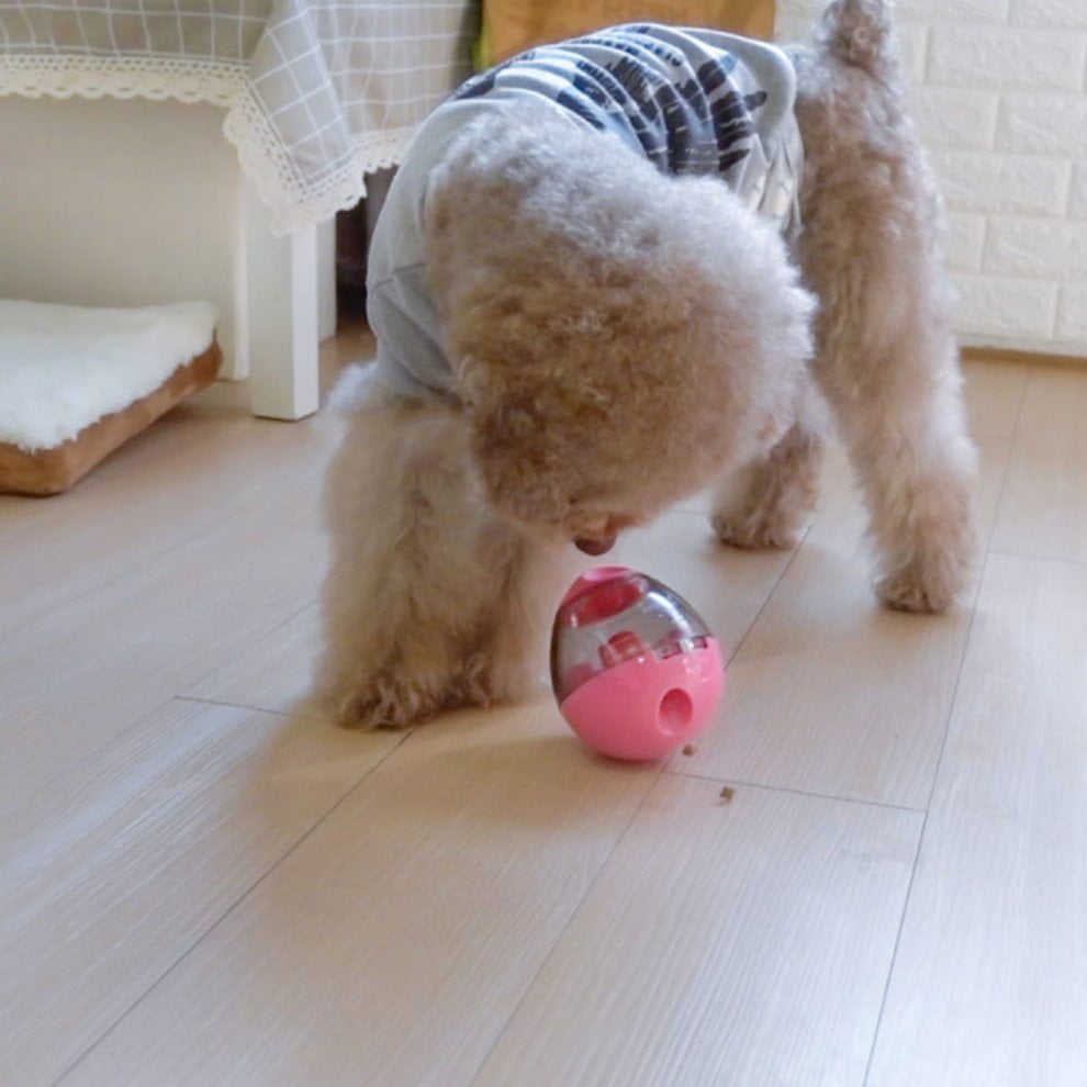 dog feeding toys