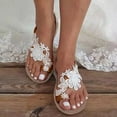 thumbnail image 3 of adviicd Strap up Flats Shoes for Women Summer Open Roman Casual Flats Shoes Comfortable Earth Flats Shoes for Women Size 8 1/2, 3 of 4