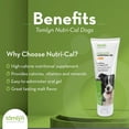 thumbnail image 4 of Tomlyn Nutri-Cal for Dogs Malt-Flavored High-Calorie Nutritional Gel, Helps Support a Healthy Appetite for Dogs Providing Calories, Vitamins, and Minerals in a Tasty Dog Supplement, 4.25oz., 4 of 9