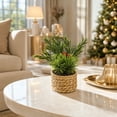 thumbnail image 6 of Qholemyo Assorted Mini Pine Potted Plants Fake Plants Home Decor Artificial Plants Straw Basket For Tabletop Christmas Indoor Arrangement, 6 of 6