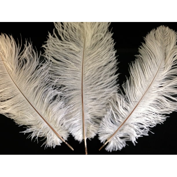 1/2 Lb - 14-17" Off White Ostrich Large Drab Wholesale Feathers (Bulk