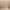 Beige, variant on Modway Emily Tufted Button Headboard, King, Black