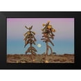 thumbnail image 2 of Larson, Nathan 24x17 Black Modern Framed Museum Art Print Titled - Desert Moonrise, 2 of 5