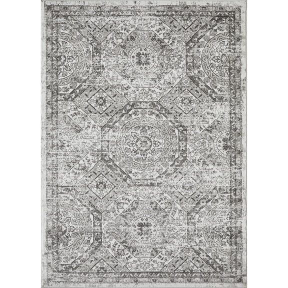 Loomaknoti Rhane Alvezi 5' x 7' Gray Oriental Indoor Area Rug