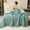 thumbnail image 5 of Eespoir Milk Velvet Lambswool Double Layer Blanket Queen Size, Thick Warm Blanket for Winter, Multifunctional Double Bed Covering Blanket for Winter Bed, Couch, 60"×80", 5 of 6