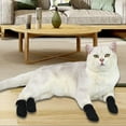 thumbnail image 6 of Mosey Great Paw Protector Anti Skid   for Home   Shock Absorption, 6 of 7