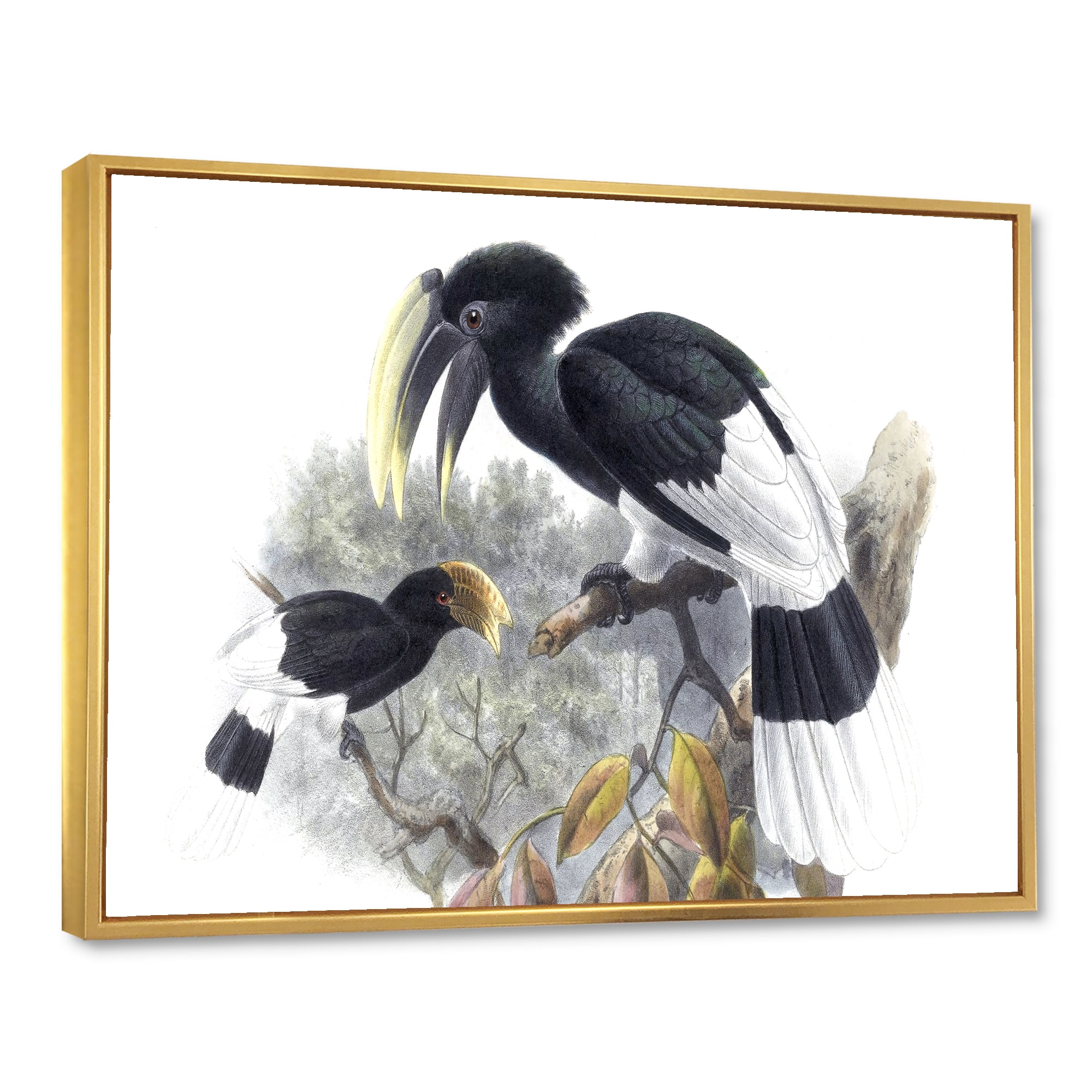 Designart 'Ancient Bird Illustration I' Traditional Framed Canvas Wall Art Print