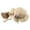 Beige, variant on Fascinators Hats for Girls Tea Party Easter Children Girls Flower Sunscreen Sunshade Hat Straw Beach Sun Hat Straw Bag