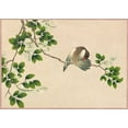 thumbnail image 2 of Ruoai, Zhang 18x14 White Modern Wood Framed Museum Art Print Titled - Preening Bird, 2 of 4