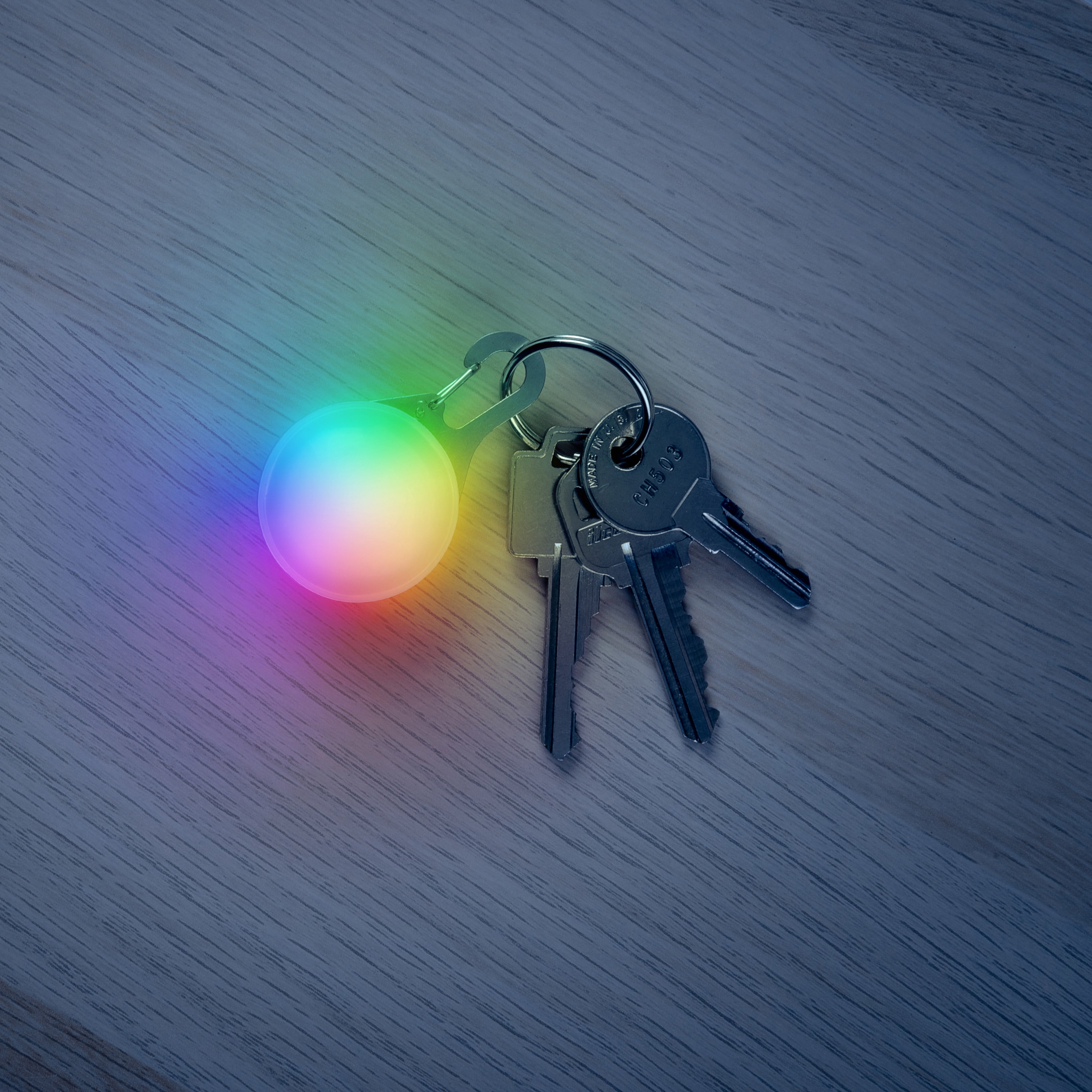 Nite Ize SpotLit LED Carabiner Keychain Light