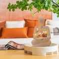View all media