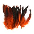 thumbnail image 1 of Plumas de gallo Soledad para manualidades adornos suministro de disfraces artesanales 4.7 - 7 pulgadas paquete de 50, 1 of 10