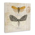 thumbnail image 3 of Stupell Industries Cottage Yellow & Grey Butterflies Canvas Art, 17 x 17, by Susan Arnot, 3 of 8