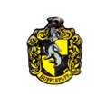 thumbnail image 1 of Harry Potter 43041 Harry Potter Hufflepuff Lapel Pin, 1 of 4