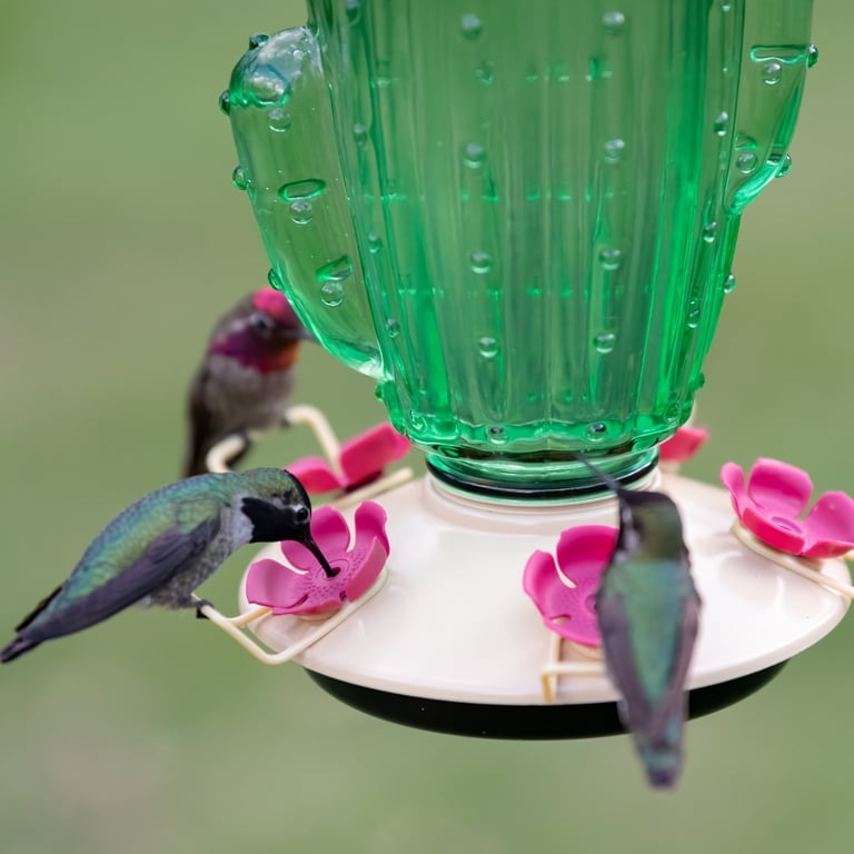 Water Feeder for Birds, Cactus Automatic Bird Water 測っ Dispenser 