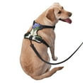 thumbnail image 3 of Bingfone Vintage Flower No Pull Dog Vest Harness For Small Medium Large Dogs Strap For Puppy Walking,Training,Dog Harness-X-Large, 3 of 9