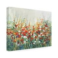 thumbnail image 2 of Tim OToole 'Garden in Bloom II' Canvas Art, 2 of 4
