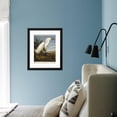 thumbnail image 4 of Snowy Heron or White Egret  Snowy Egret, Animals Framed Art Print Wall Art by John James Audubon Sold by Art.Com, 4 of 6