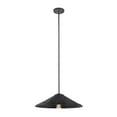 thumbnail image 3 of 1-Light Pendant in Matte Black, 3 of 5