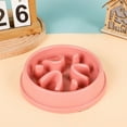 big-dog-bowl-dog-food-bowl-holder-for-medium-dogs-slow-feed-dog-bowl