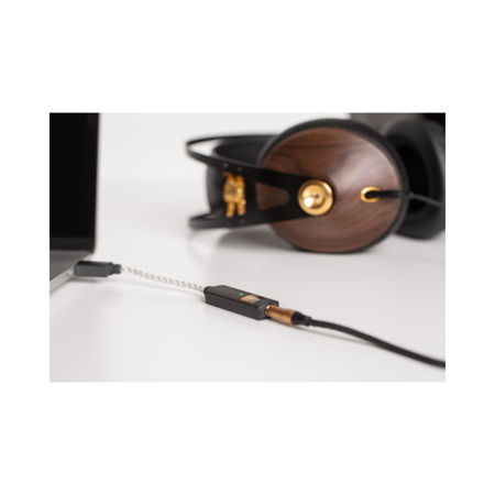 【中古】iFi Audio GO link【京都】保証期間１ヶ月【ランクA】