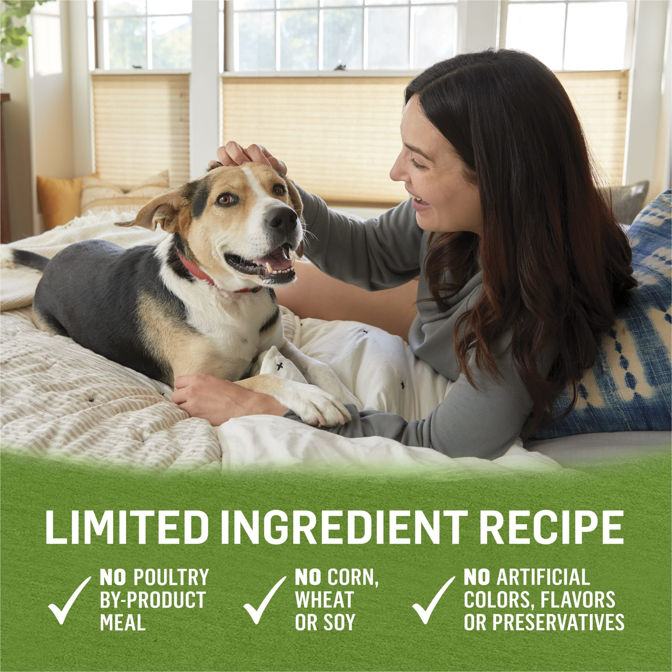 Purina Beyond Immune Health Wet Dog Food Real Soft Chicken, Lamb & Spinach, 13 oz Can