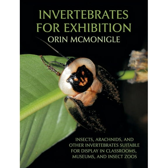 Invertebrates For Exhibition: Insects, Arachnids, and Other Invertebrates Suitable for Display in Classrooms, Museums, a, (Hardcover)