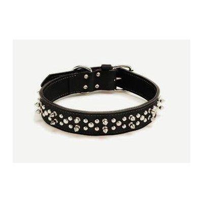 harley davidson spiked dog collar