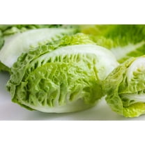 3000 Seeds LITTLE GEM LETTUCE Small Romaine Butterhead Lactuca Vegetable Seeds