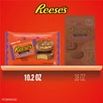 thumbnail image 5 of REESE'S, Milk Chocolate Peanut Butter Snack Size Pumpkins Candy, Halloween, 10.2 oz, Bag, 5 of 6