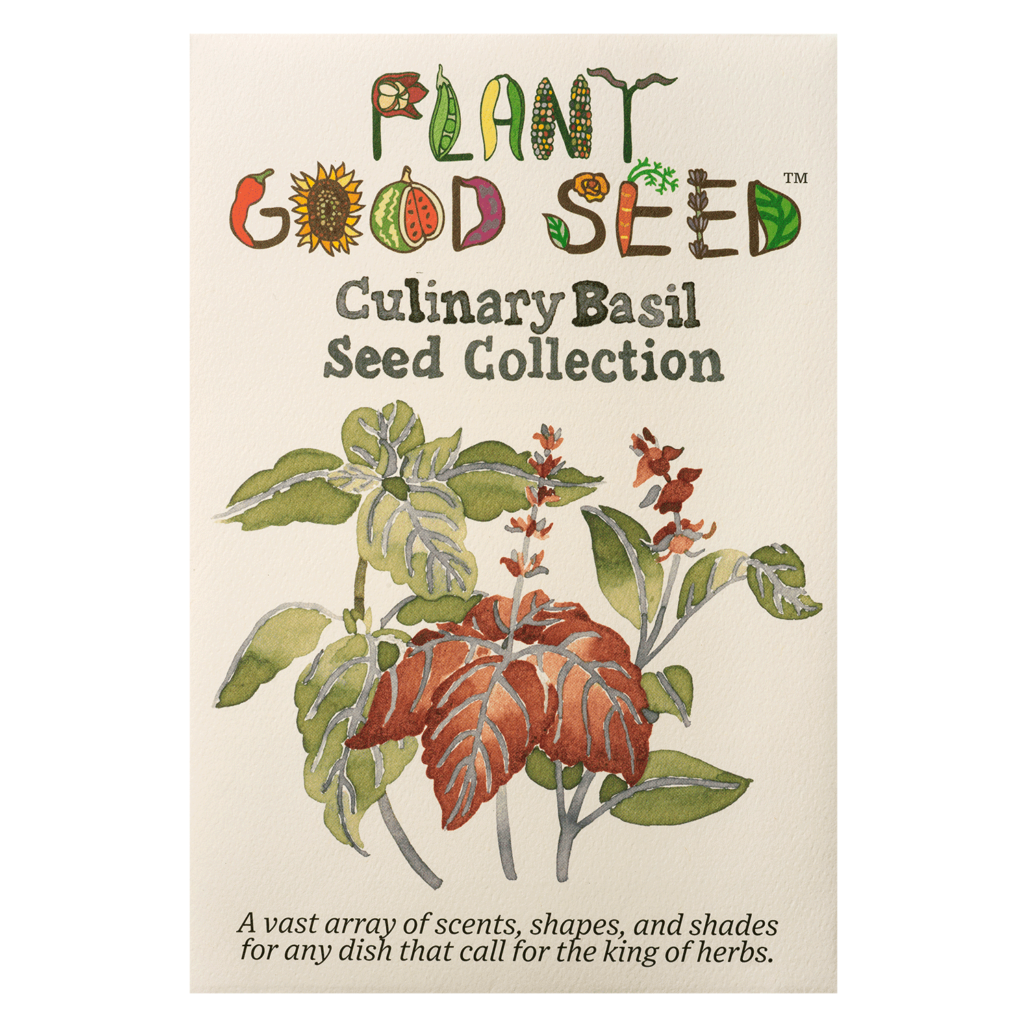 Plant Good Seed Culinary Basil Seeds - 7 Packet Collection - Heirloom Herb Seed, Full Sun Perennial