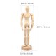 thumbnail image 5 of Figura de dibujo de Maniquí de madera, modelo de figura de acción móvil, figura de madera Posable, estatua, maniquí de artista, maniquí de madera para pintar, 5 of 8