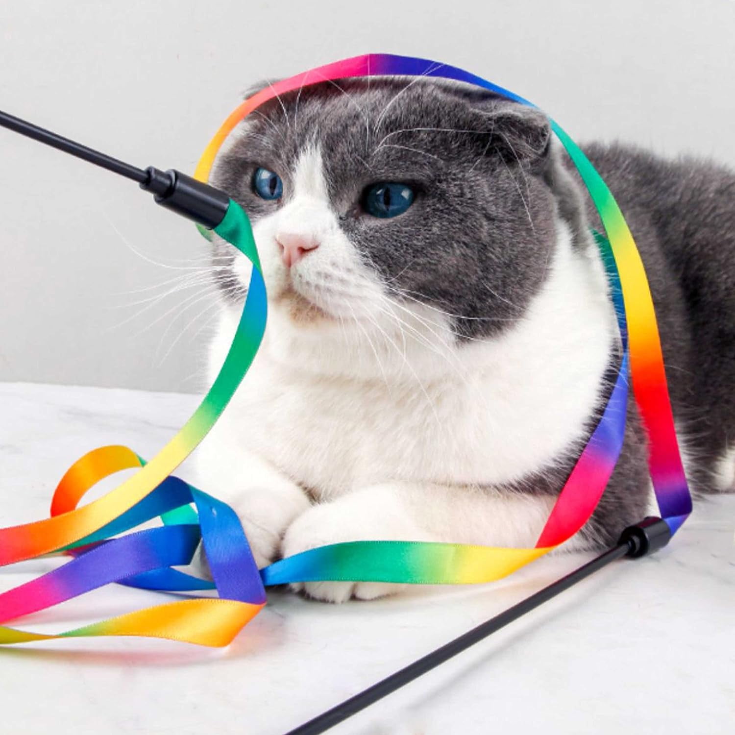 cat ribbon toy