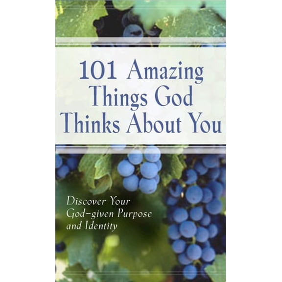 Pre-Owned 101 Amazing Things God Thinks About You (Hardcover) 1562922297 9781562922290