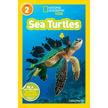 Sea Turtles (Paperback) (Best Place To See Sea Turtles In Kauai)