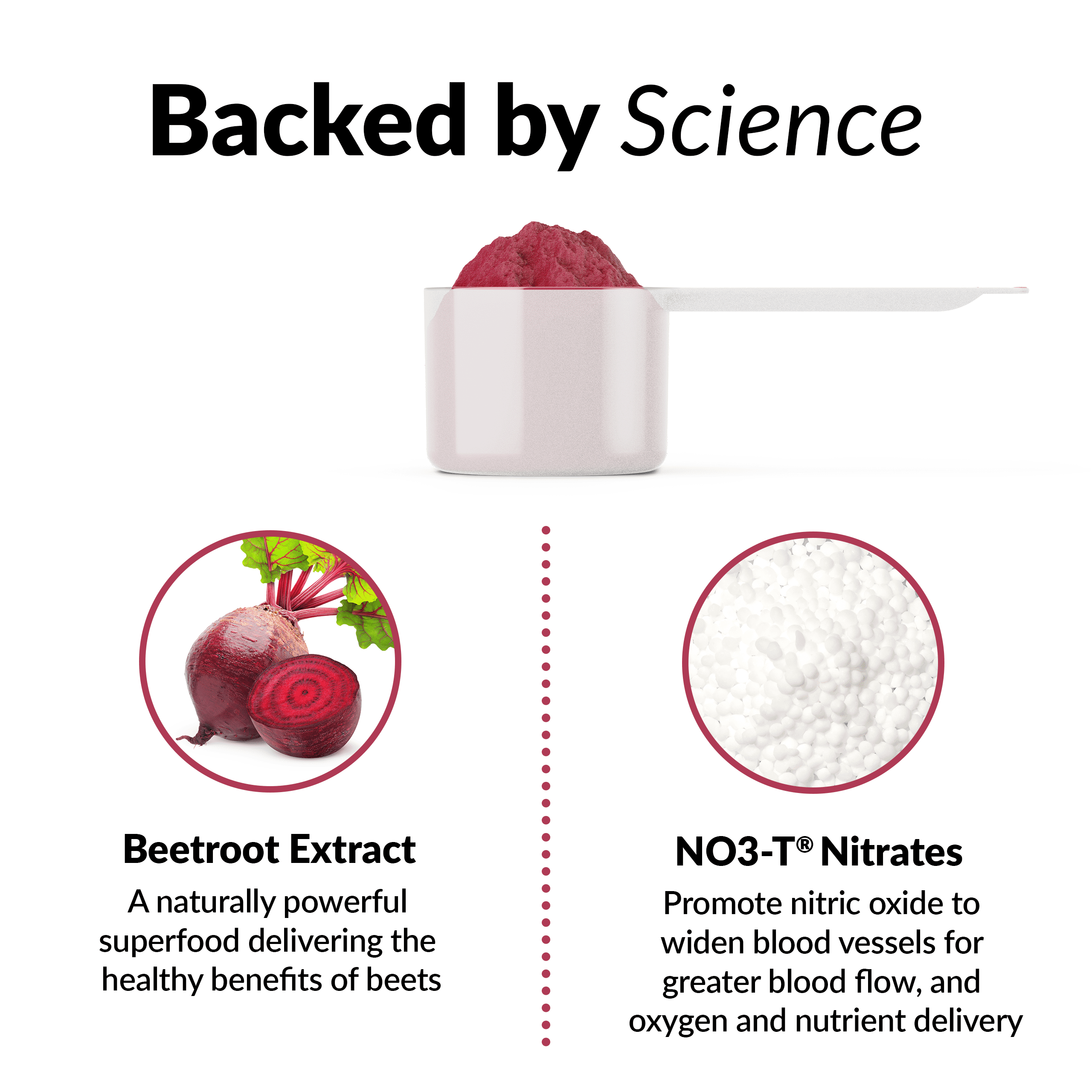 Buy Force Factor Total Beets, Beetroot Powder Supplement with Betaine