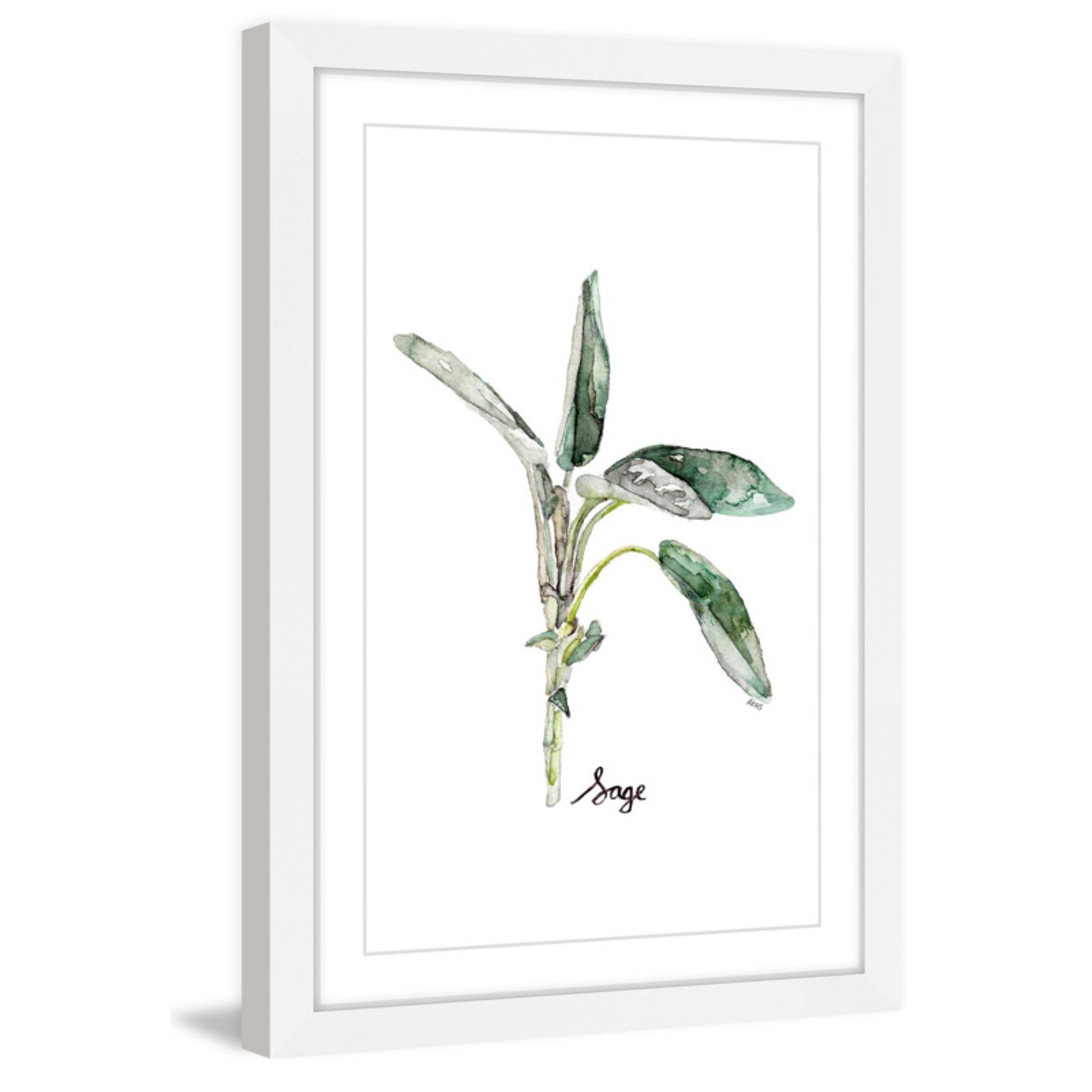 Marmont Hill "Herb Sage" by Rachel Byler Framed Painting Print