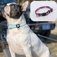 thumbnail image 3 of Collar de lujo para perros: adecuado para perros pequeños y medianos., 3 of 5
