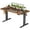 Rustic Brown, variant on Electric Standing Desk 55x24 Inch - Height Adjustable Desk with Memory Presets, Black