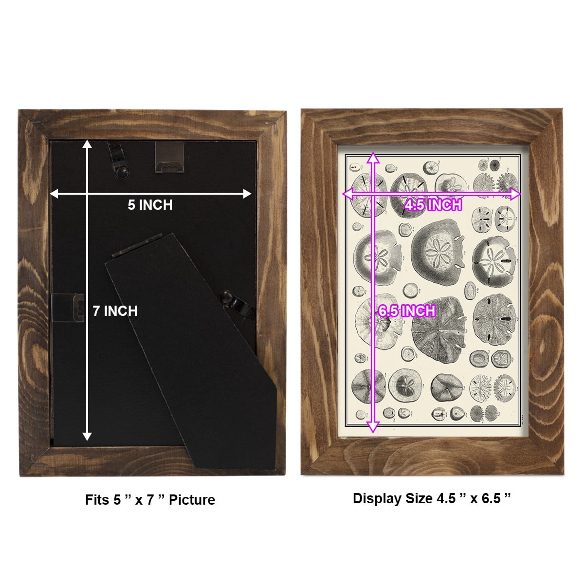 Aegean Collection II -Framed Print w/glass-Walnut