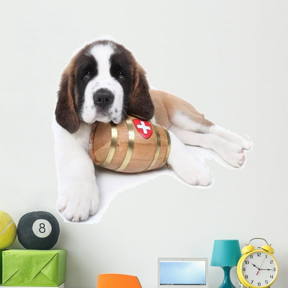 Saint Bernard Puppy with Wall Decal by Wallmonkeys Peel and Stick Graphic (48 in W x 32 in H) WM171913