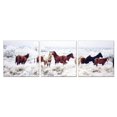 thumbnail image 1 of 72 x 24 in. Senik Horses on Plains 3-Panel MDF Framed Photography Triptych Print, 1 of 1