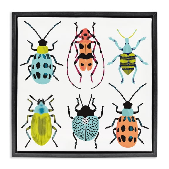 Stupell Industries Modern Beetles & Bugs Collection Black Floating Frame Canvas Art, 18 x 18, by Metka Hiti